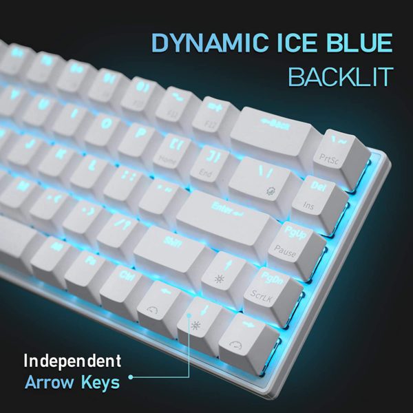 ROYAL KLUDGE RKG68 Hot Swappable Blue Switch Wireless Mechanical Gaming Keyboard (KRK2108)