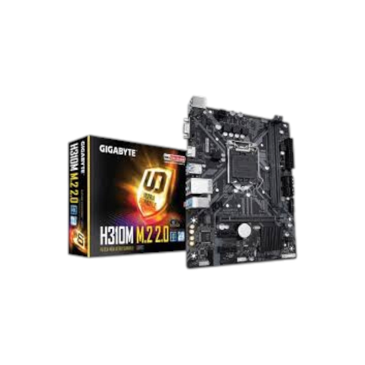 Gigabyte H310M M.2 9th Gen Micro ATX Motherboard (MGBI5444)