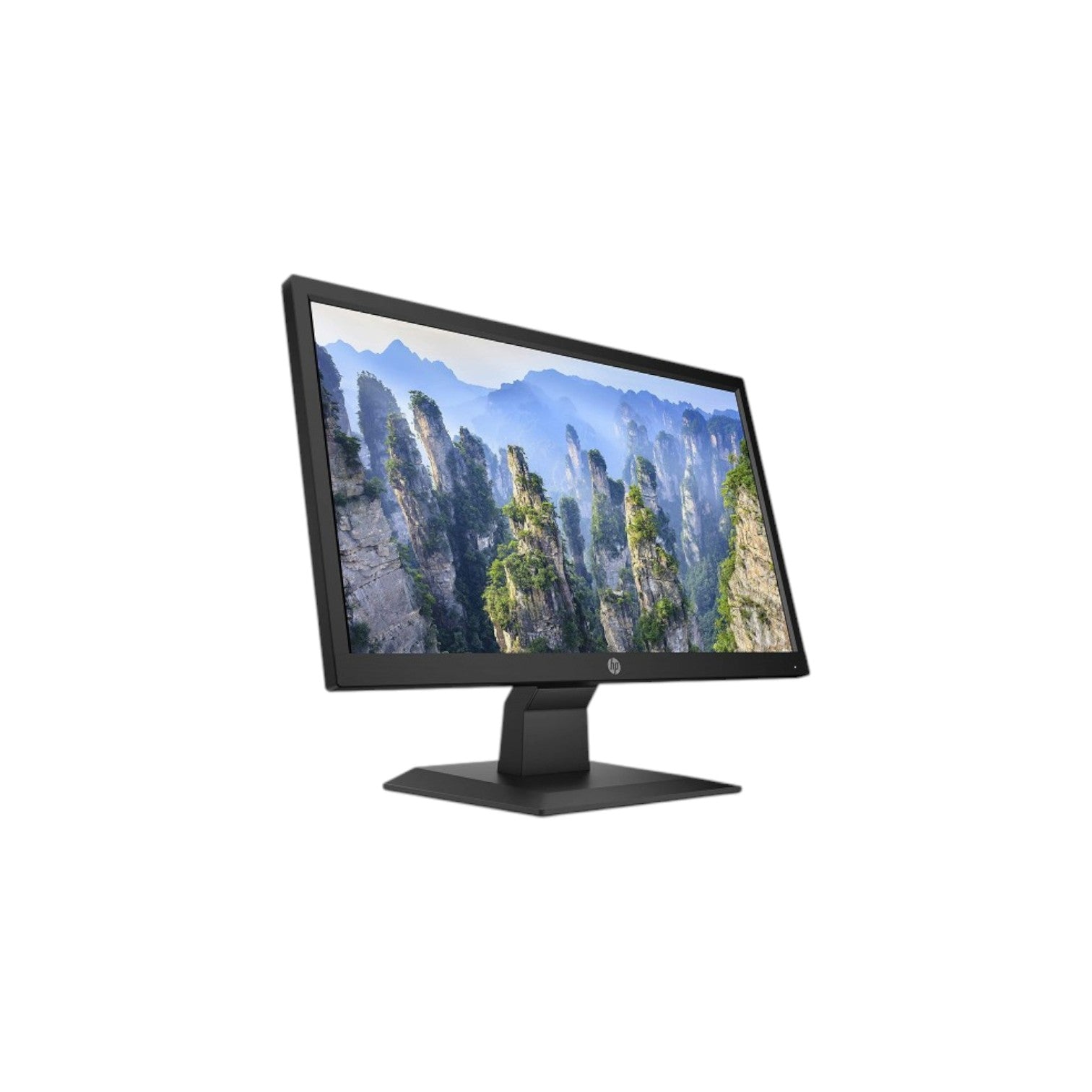 HP V20 19.5" HD+ LED TN Monitor