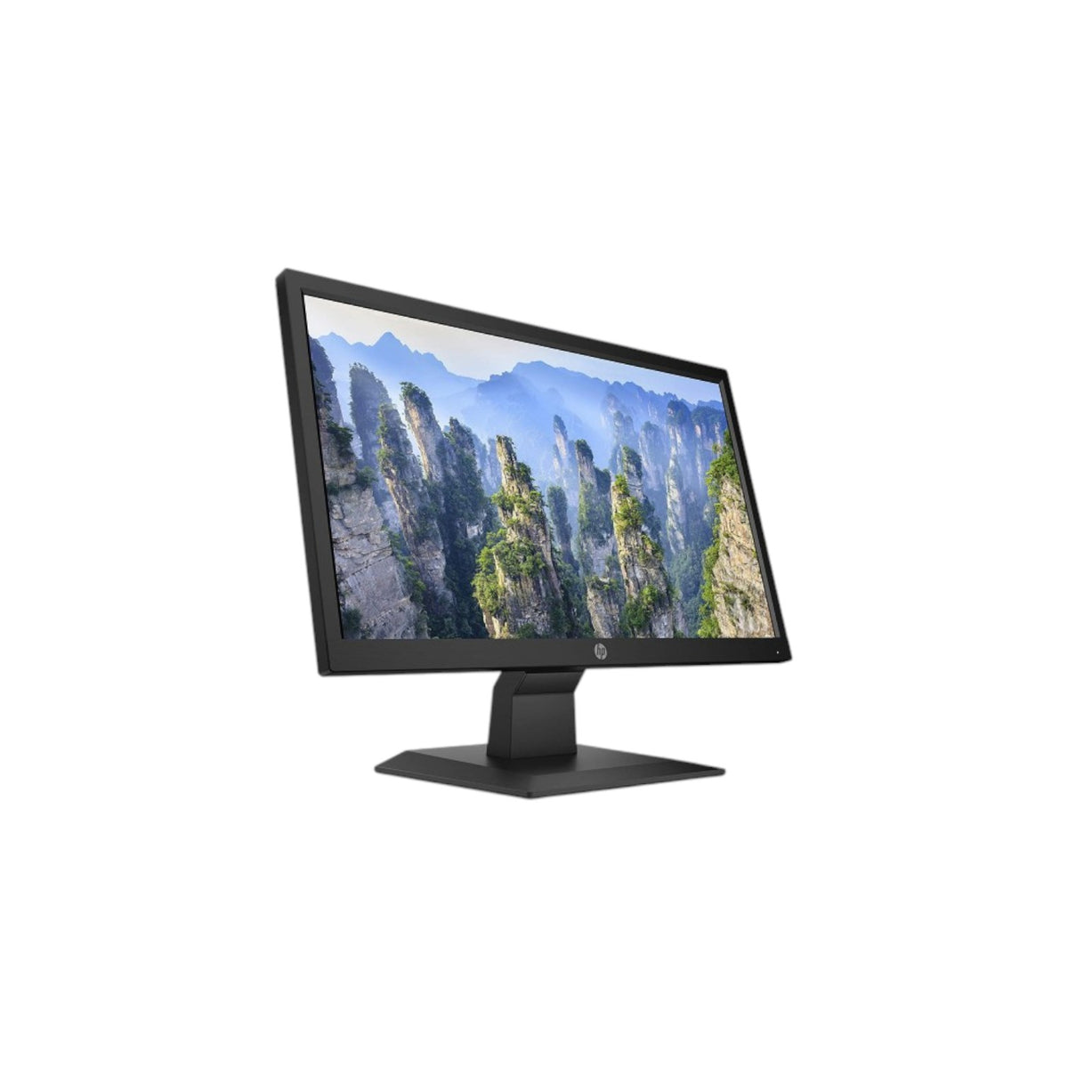 HP V20 19.5" HD+ LED TN Monitor