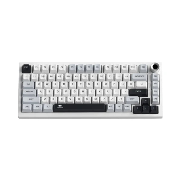 T-WOLF K81 tri-mode wireless mechanical keyboard featuring a white and light gray layout with black accent keys and RGB lighting.