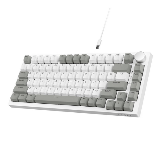 AJAZZ AK820 75% Gasket-Mounted White Backlit Wired Mechanical Keyboard, White Gray